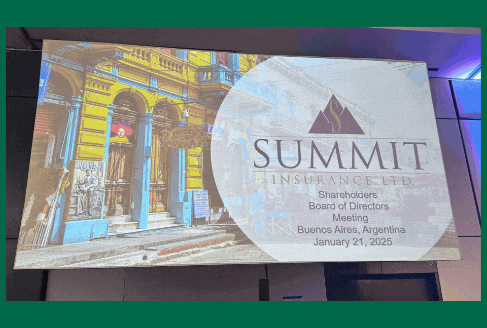 industry leaders discussing board-level risk strategy at the Insurance Summit